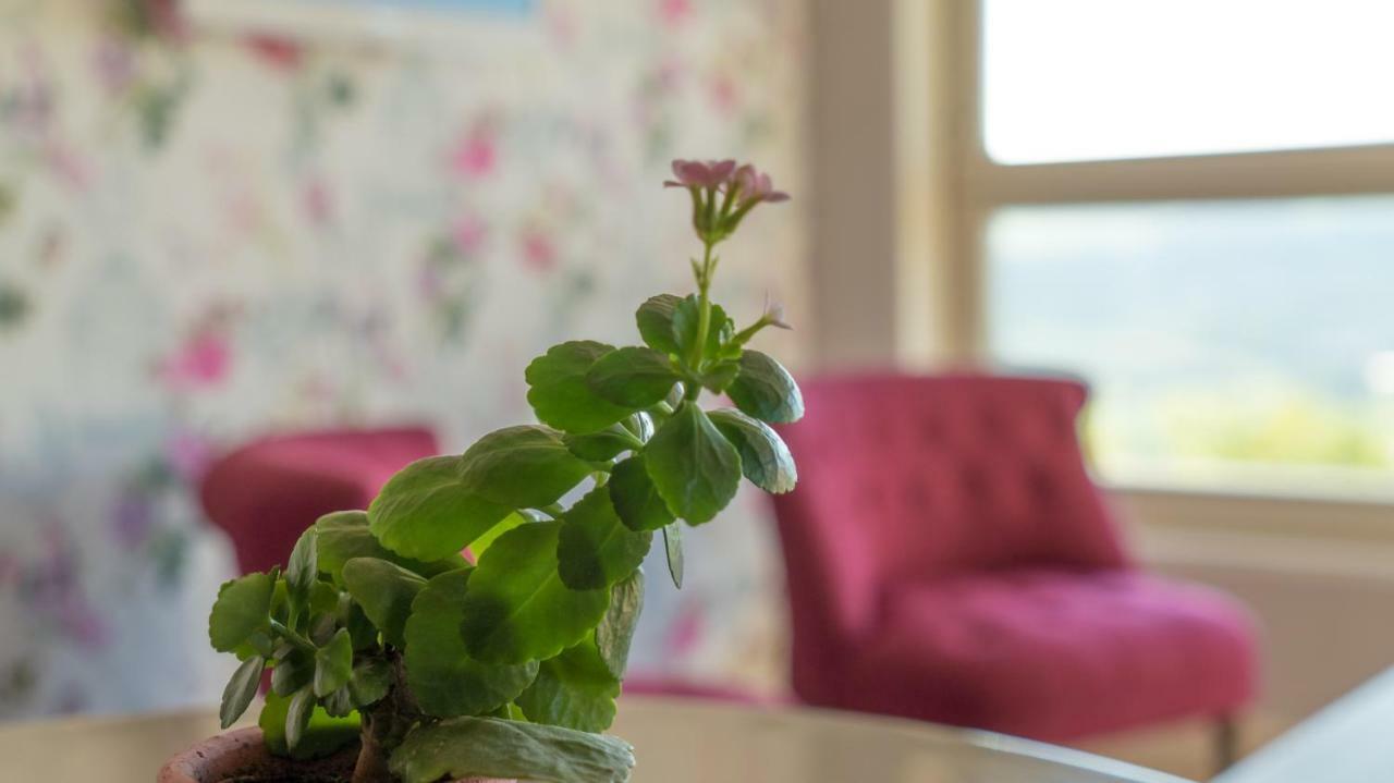 Le Petit Nid*** Villa Amance  Dış mekan fotoğraf